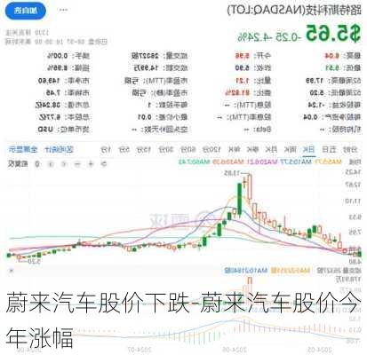 蔚來汽車股價下跌-蔚來汽車股價今年漲幅