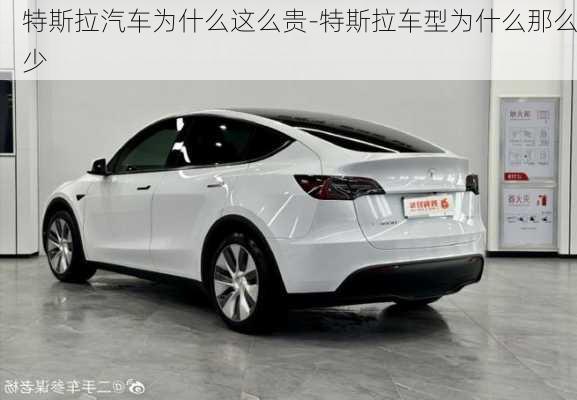 特斯拉汽車為什么這么貴-特斯拉車型為什么那么少