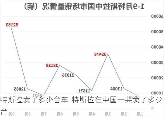 特斯拉賣了多少臺(tái)車-特斯拉在中國(guó)一共賣了多少臺(tái)