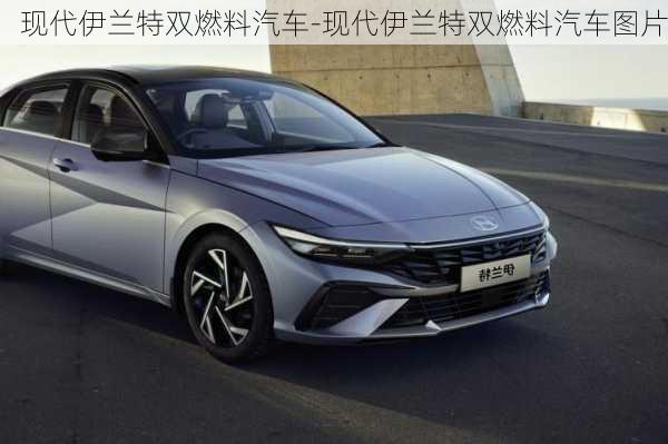 現(xiàn)代伊蘭特雙燃料汽車-現(xiàn)代伊蘭特雙燃料汽車圖片