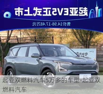 起亞雙燃料汽車(chē)5萬(wàn)多的車(chē)型-起亞雙燃料汽車(chē)