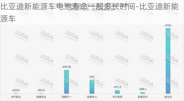 比亞迪新能源車電池壽命一般多長時間-比亞迪新能源車