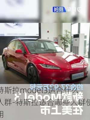 特斯拉model3適合什么人群-特斯拉適合哪些人群使用