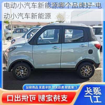 電動小汽車新能源哪個品牌好-電動小汽車新能源