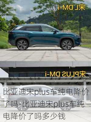 比亞迪宋plus車純電降價(jià)了嗎-比亞迪宋plus車純電降價(jià)了嗎多少錢