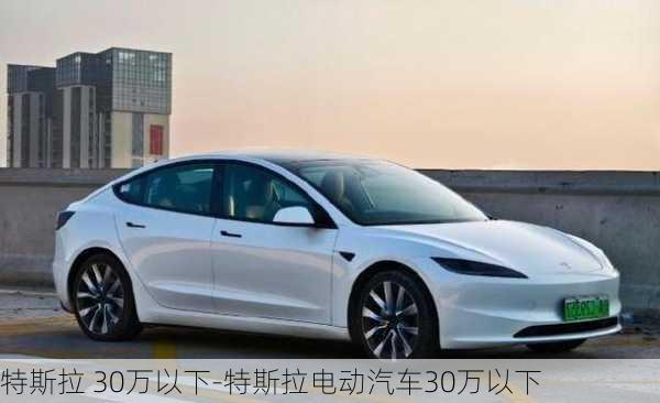 特斯拉 30萬以下-特斯拉電動汽車30萬以下