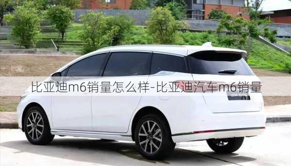 比亞迪m6銷量怎么樣-比亞迪汽車m6銷量