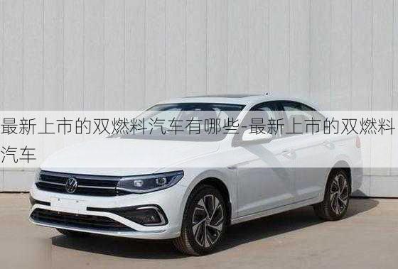 最新上市的雙燃料汽車有哪些-最新上市的雙燃料汽車