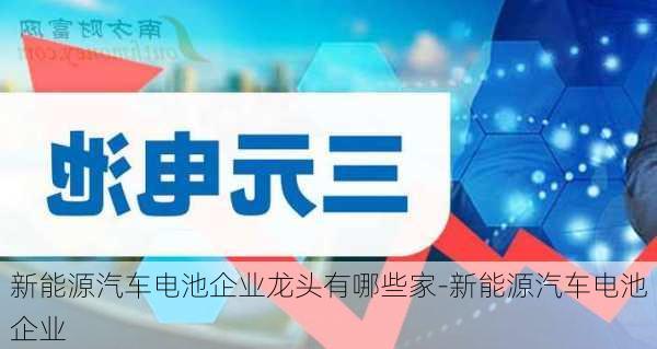 新能源汽車電池企業(yè)龍頭有哪些家-新能源汽車電池企業(yè)