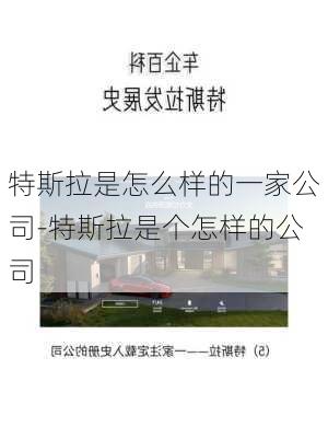 特斯拉是怎么樣的一家公司-特斯拉是個怎樣的公司