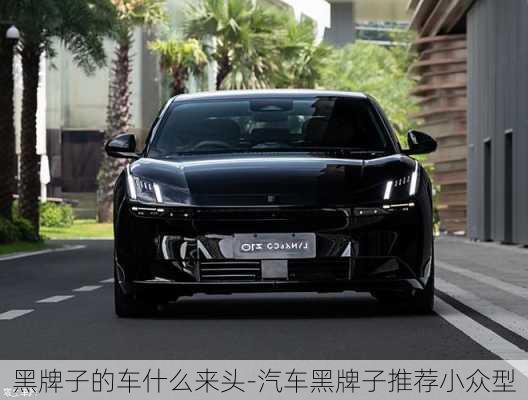 黑牌子的車什么來(lái)頭-汽車黑牌子推薦小眾型