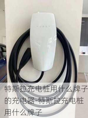 特斯拉充電樁用什么牌子的充電器-特斯拉充電樁用什么牌子