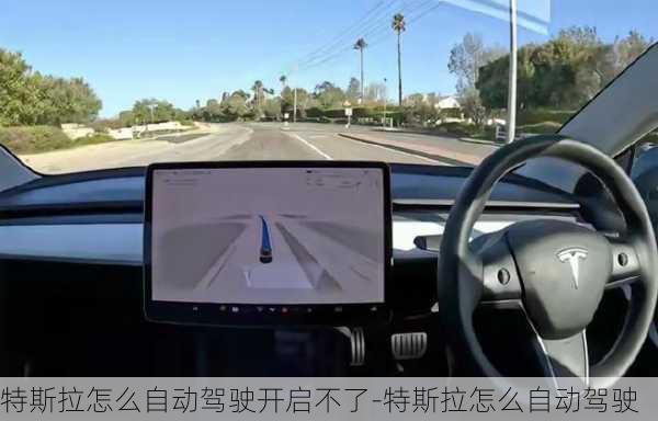 特斯拉怎么自動(dòng)駕駛開啟不了-特斯拉怎么自動(dòng)駕駛