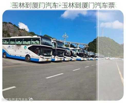 玉林到廈門汽車-玉林到廈門汽車票