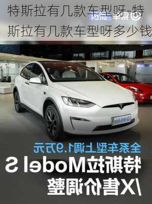 特斯拉有幾款車型呀-特斯拉有幾款車型呀多少錢