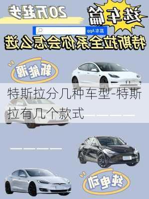 特斯拉分幾種車型-特斯拉有幾個款式