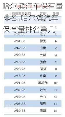 哈爾濱汽車保有量排名-哈爾濱汽車保有量排名第幾