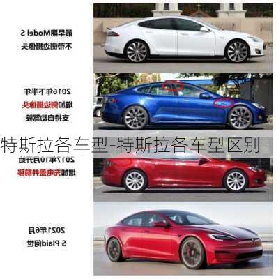 特斯拉各車型-特斯拉各車型區(qū)別