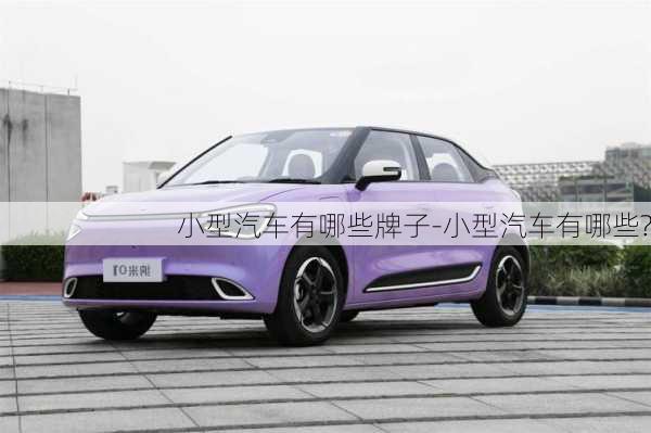 小型汽車有哪些牌子-小型汽車有哪些?