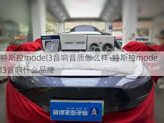 特斯拉model3音響音質(zhì)怎么樣-特斯拉model3音響什么品牌