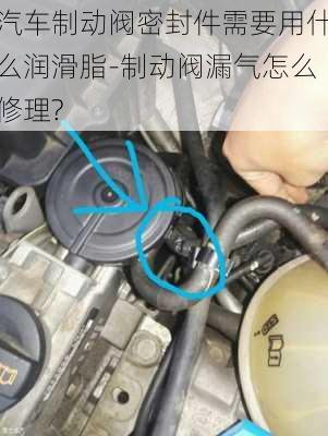 汽車制動閥密封件需要用什么潤滑脂-制動閥漏氣怎么修理?