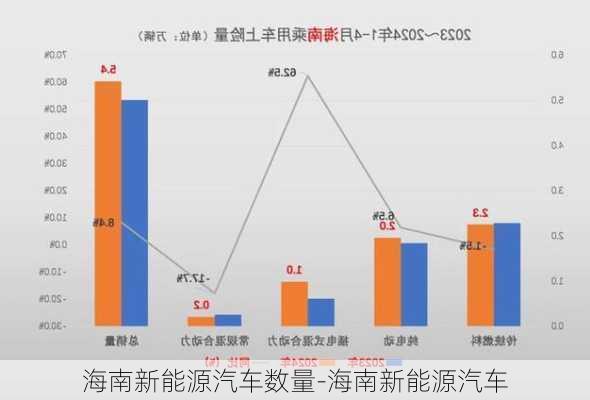 海南新能源汽車(chē)數(shù)量-海南新能源汽車(chē)