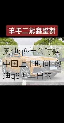 奧迪q8什么時候中國上市時間-奧迪q8哪年出的