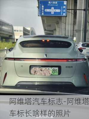 阿維塔汽車標(biāo)志-阿維塔車標(biāo)長(zhǎng)啥樣的照片