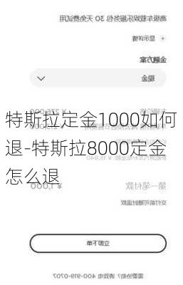 特斯拉定金1000如何退-特斯拉8000定金怎么退