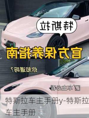 特斯拉車主手冊y-特斯拉車主手冊