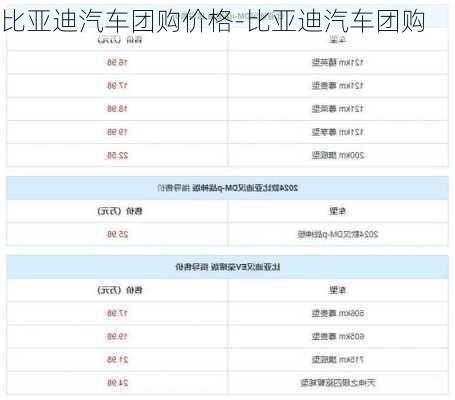 比亞迪汽車團(tuán)購價(jià)格-比亞迪汽車團(tuán)購