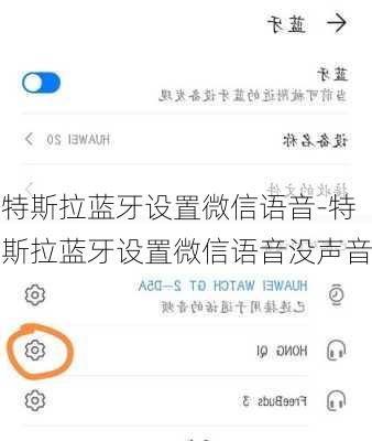 特斯拉藍(lán)牙設(shè)置微信語(yǔ)音-特斯拉藍(lán)牙設(shè)置微信語(yǔ)音沒聲音