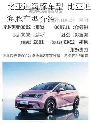 比亞迪海豚車型-比亞迪海豚車型介紹