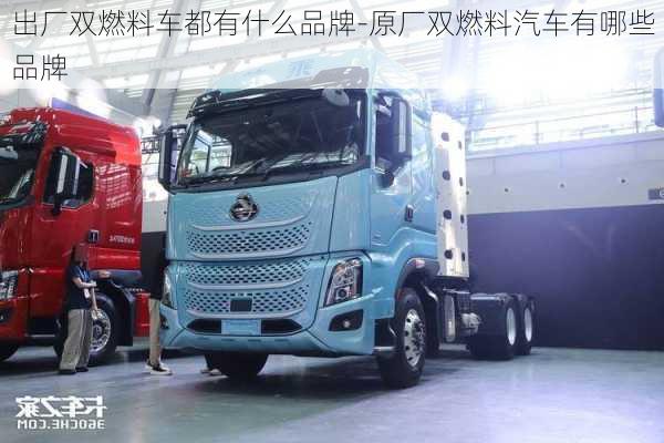 出廠雙燃料車都有什么品牌-原廠雙燃料汽車有哪些品牌