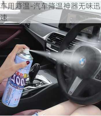 車用降溫-汽車降溫神器無味迅速