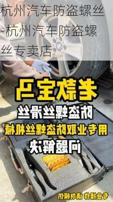 杭州汽車防盜螺絲-杭州汽車防盜螺絲專賣店