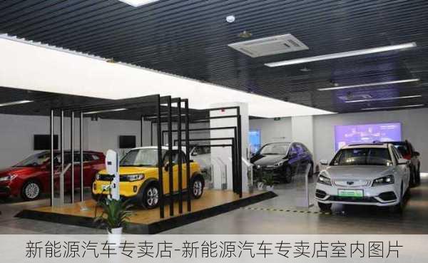 新能源汽車專賣店-新能源汽車專賣店室內(nèi)圖片