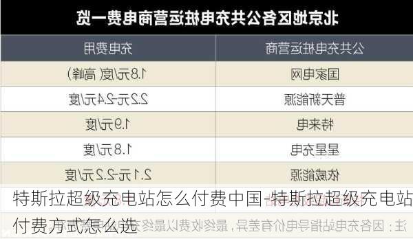 特斯拉超級(jí)充電站怎么付費(fèi)中國(guó)-特斯拉超級(jí)充電站付費(fèi)方式怎么選