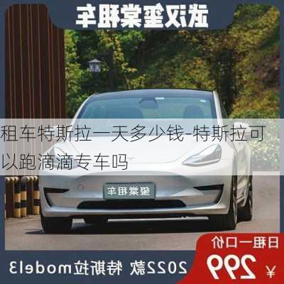 租車特斯拉一天多少錢-特斯拉可以跑滴滴專車嗎