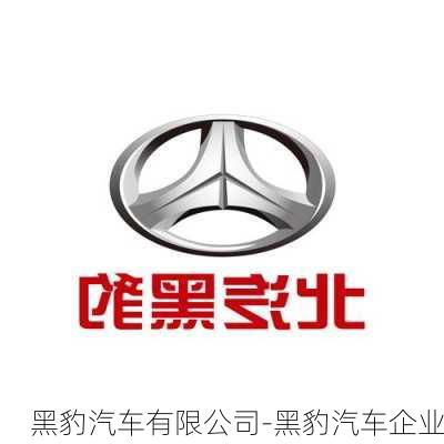 黑豹汽車有限公司-黑豹汽車企業(yè)