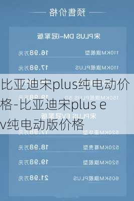 比亞迪宋plus純電動價格-比亞迪宋plus ev純電動版價格