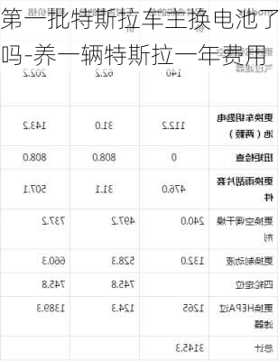 第一批特斯拉車主換電池了嗎-養(yǎng)一輛特斯拉一年費(fèi)用