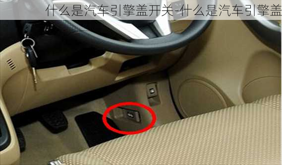 什么是汽車引擎蓋開關(guān)-什么是汽車引擎蓋