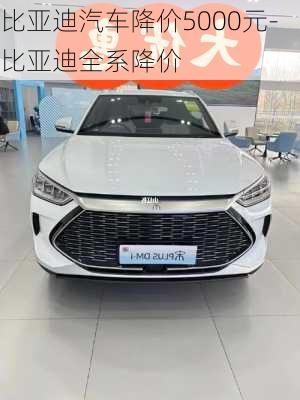 比亞迪汽車降價(jià)5000元-比亞迪全系降價(jià)