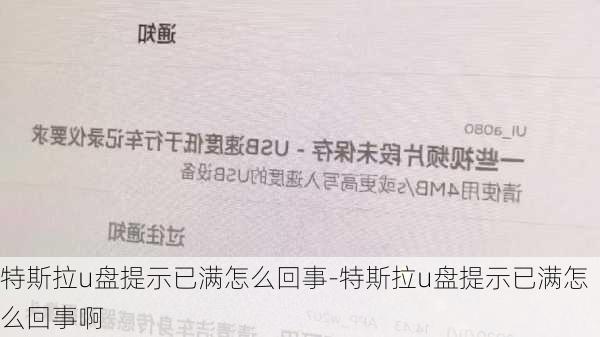 特斯拉u盤提示已滿怎么回事-特斯拉u盤提示已滿怎么回事啊