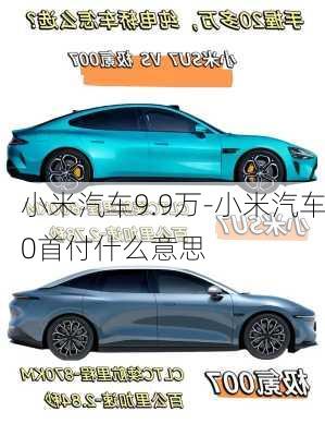 小米汽車9.9萬-小米汽車0首付什么意思