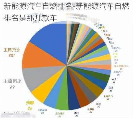 新能源汽車自燃排名-新能源汽車自燃排名是那幾款車