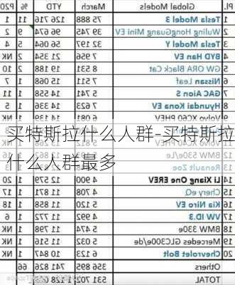 買特斯拉什么人群-買特斯拉什么人群最多