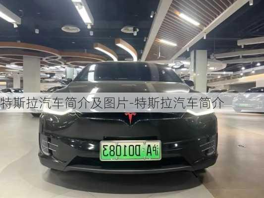 特斯拉汽車簡介及圖片-特斯拉汽車簡介