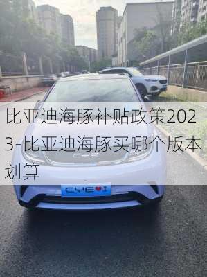 比亞迪海豚補(bǔ)貼政策2023-比亞迪海豚買哪個(gè)版本劃算